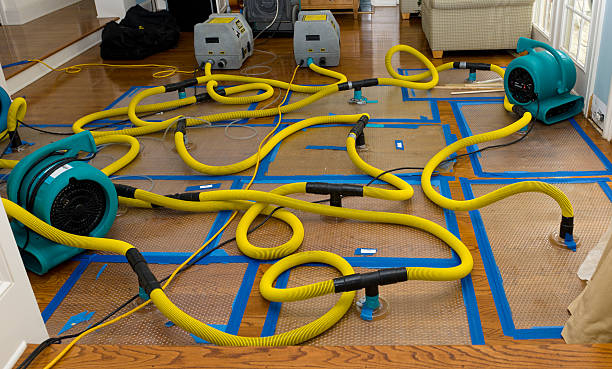 Professional Water Damage Restoration technician working in Talking Rock, GA